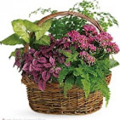 Seller Image